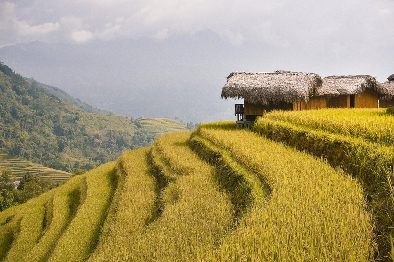 Núi, mountain, ruộng bậc thang, ruộng, Việt Nam - ThanhVu68