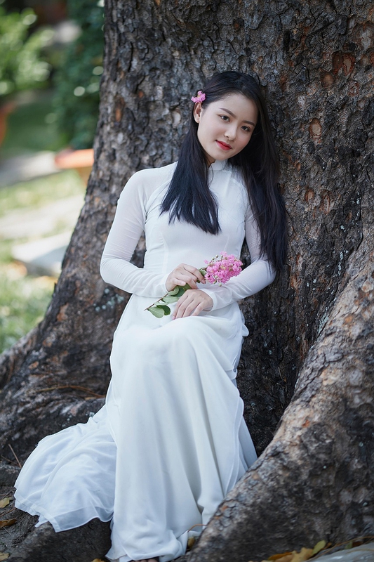 Việt Nam, áo dài, cô gái, con gái, girl - TieuBaoTruong 2