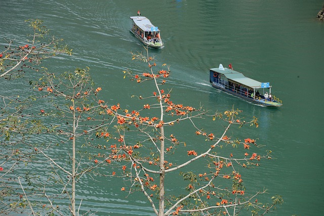 Hồ, phong cảnh, thuyền, mùa thu, Việt Nam - xuanduongvan87