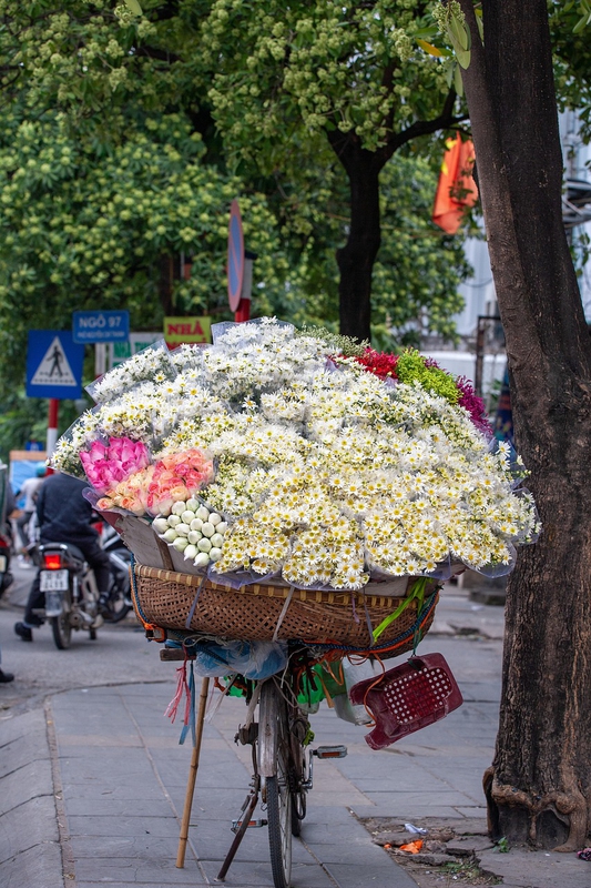 Xe hoa, bán hoa, hoa, hoa cúc, daisy, Việt Nam, Hà Nội - xuanduongvan87 1