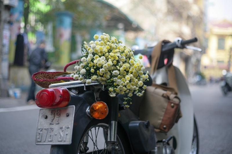 Xe hoa, bán hoa, hoa, hoa cúc, daisy, Việt Nam, Hà Nội - xuanduongvan87 2