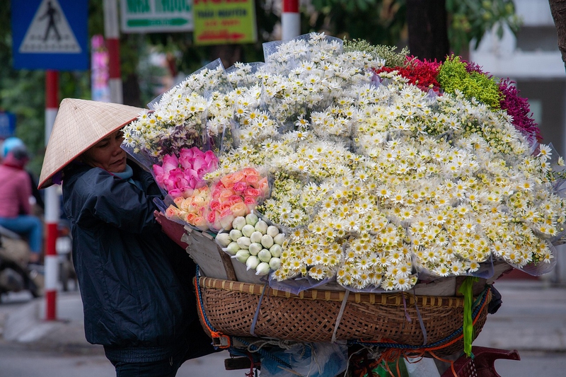 Xe hoa, bán hoa, hoa, hoa cúc, daisy, Việt Nam, Hà Nội - xuanduongvan87