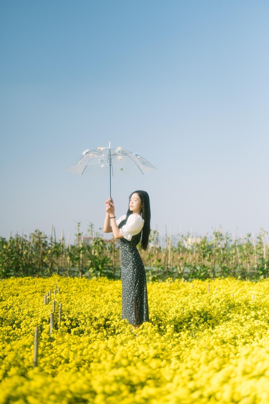 Cô gái, con gái, girl, Việt Nam, dễ thương, cute, hoa cải vàng, cải vàng - Chuotanhls (83)