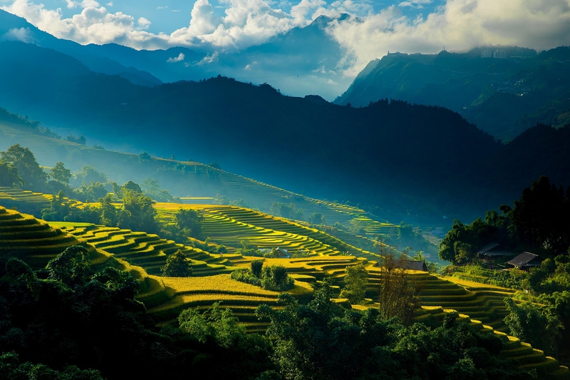 Hình nền, nền, ruộng, ruộng bậc thang, Việt Nam - TranDuyet (3)