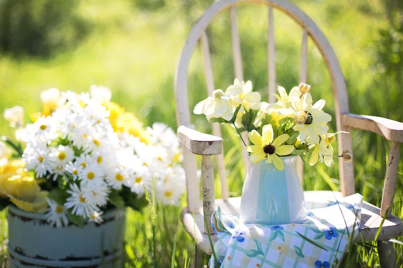 Nền, hình nền, hoa, hoa lá, flower, hoa cúc, cúc, daisy - JillWellington 1