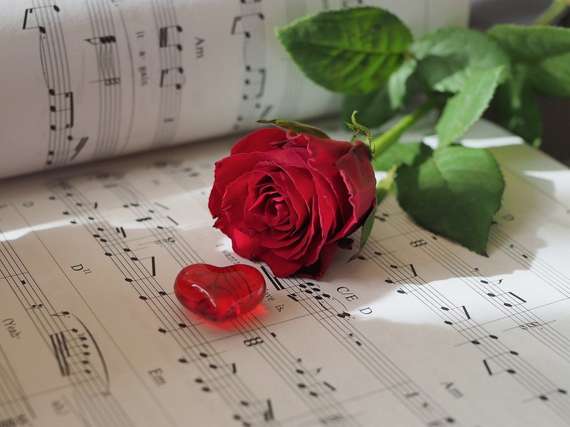 Nền, hình nền, hoa, hoa lá, flower, hoa hồng, rose - beasternchen