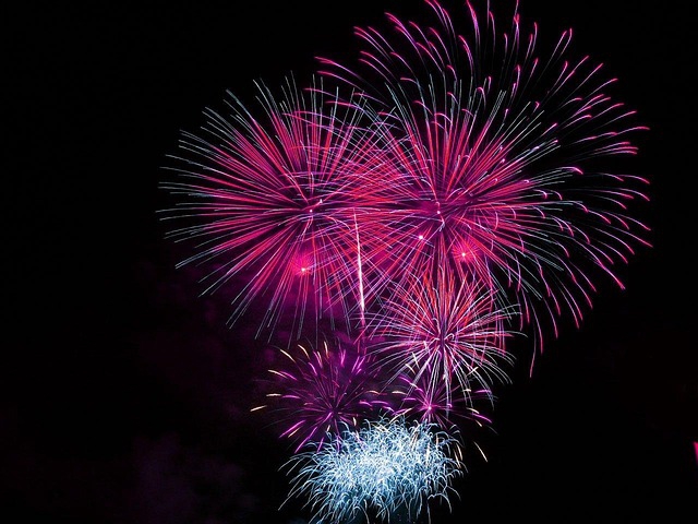 Pháo hoa, pháo bông, firework, nền, hình nền, background- PublicDomainPictures 1