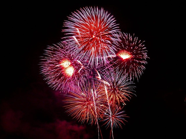 Pháo hoa, pháo bông, firework, nền, hình nền, background- PublicDomainPictures (2)