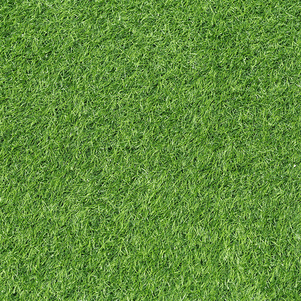 Cỏ, bãi cỏ, grass, hình nền, background, thiên nhiên