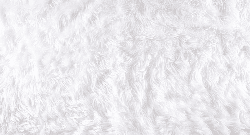 Lông, thảm, carpet, hình nền, background