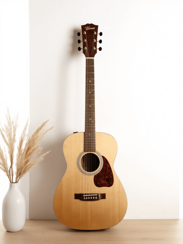 Guitar, đàn guitar, đàn, music, âm nhạc, giải trí 6