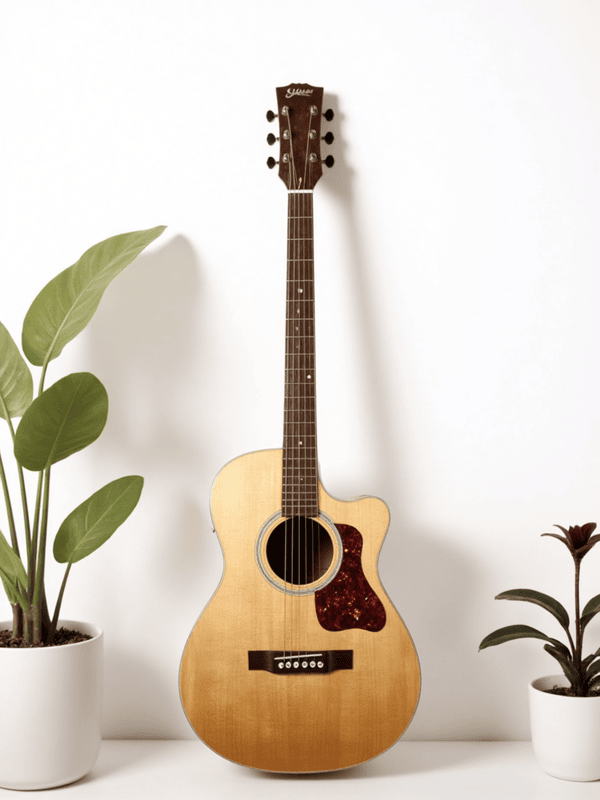 Guitar, đàn guitar, đàn, music, âm nhạc, giải trí 15