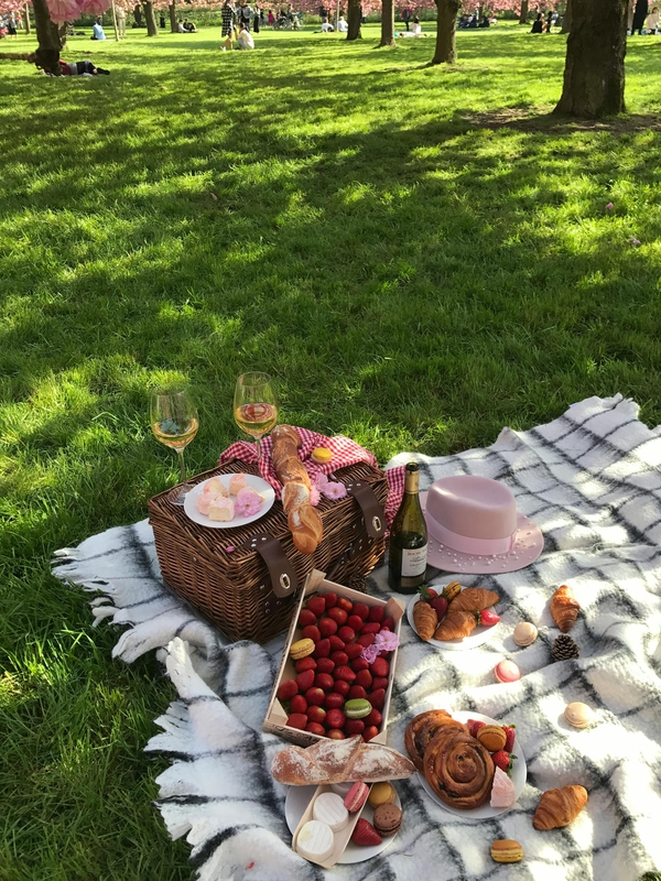 Picnic, bánh, trái cây, cắm trại, camping - Eugenia Remark