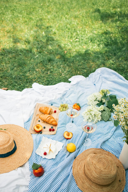 Picnic, bánh, trái cây, cắm trại, camping - Maksim Goncharenok 2