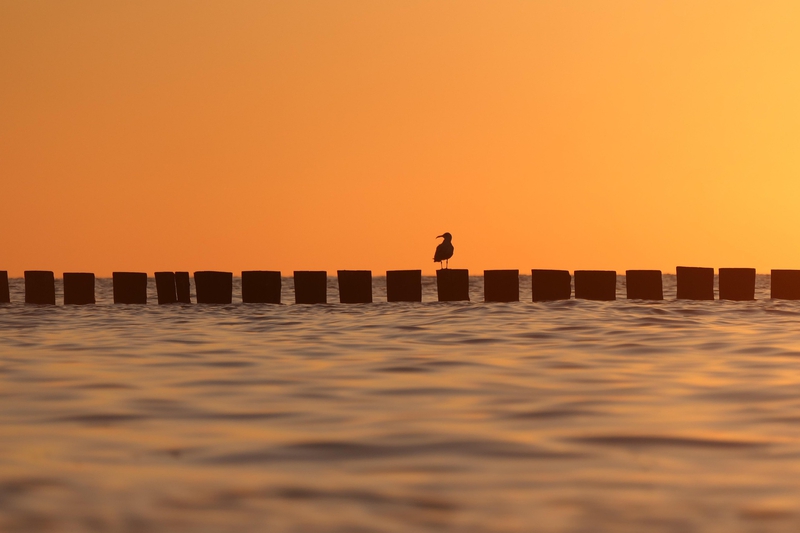 Hoàng hôn, sunset, chiều, biển, sea, hình nền, nền, background - Pexels