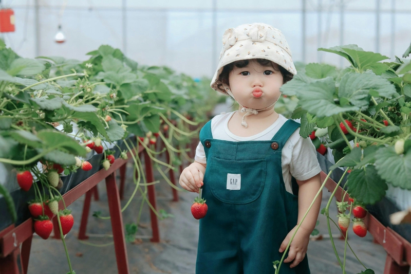 Em bé, trẻ em, con gái, girl, kids, chụp ảnh, vui vẻ- Mochi mochi 10