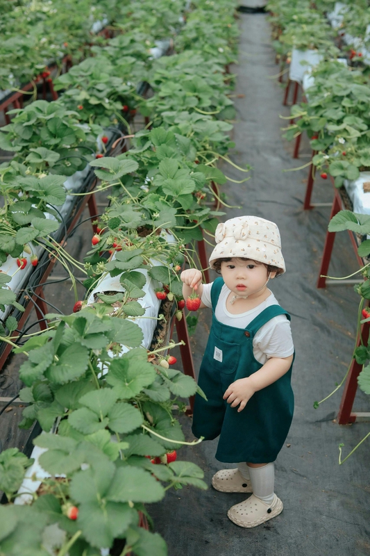 Em bé, trẻ em, con gái, girl, kids, chụp ảnh, vui vẻ- Mochi mochi 15