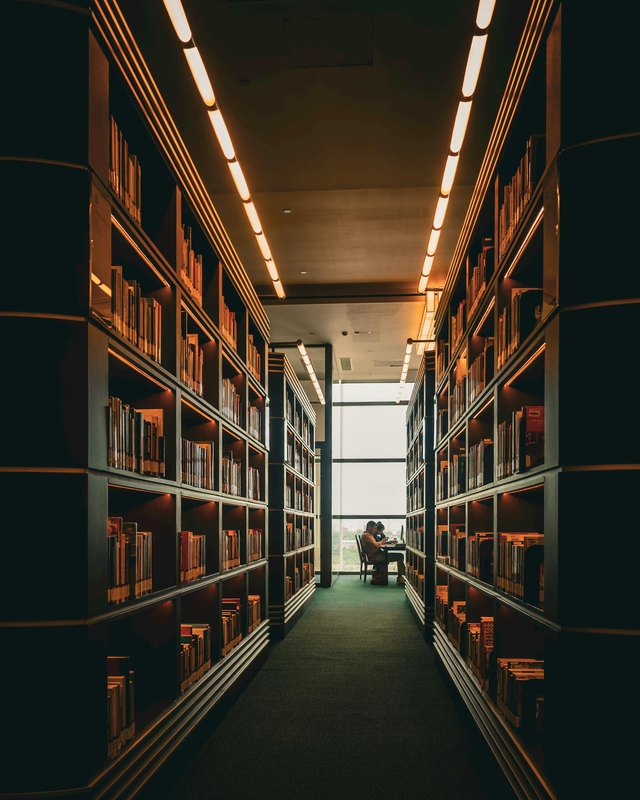 Thư viện, lybrary, trường học, school, sách, book - Helin Gezer