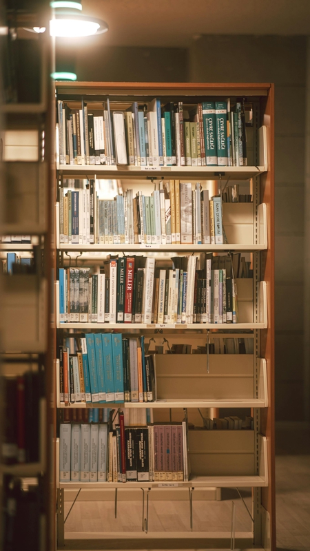 Thư viện, lybrary, trường học, school, sách, book - Orhan Pergel