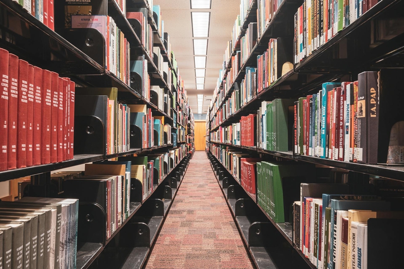 Thư viện, lybrary, trường học, school, sách, book - Zetong Li