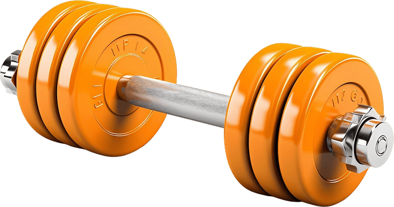 Tạ tay, thiết bị tập gym, dụng cụ thể hình, dumbbell, fitness equipment, gym gear, gym