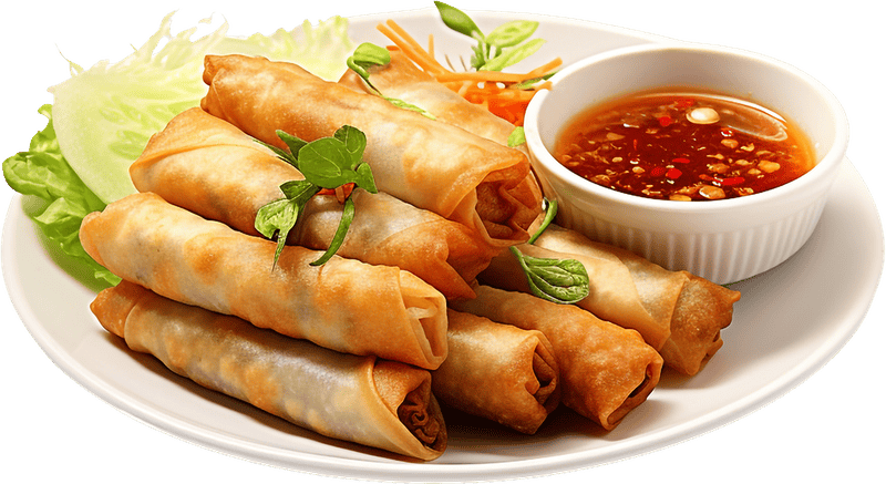 Chả giò, chả, ẩm thực, food