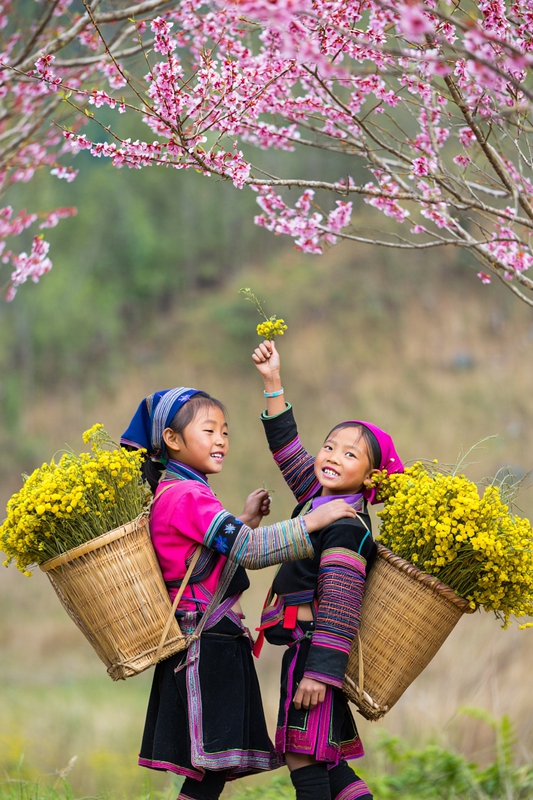 Thiếu nhi, children, trang phục dân tộc, ethnic costume, hoa cúc vàng, mùa xuân 3