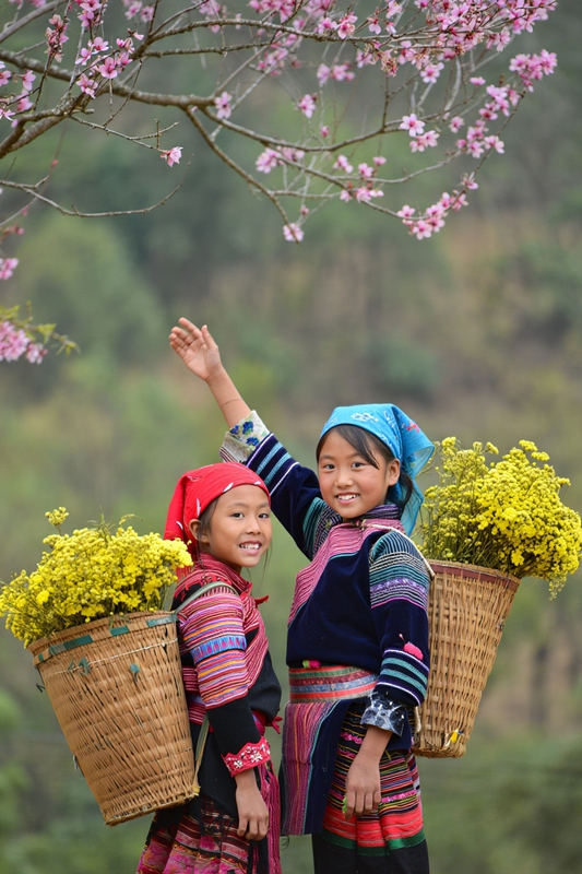 Thiếu nhi, children, trang phục dân tộc, ethnic costume, hoa cúc vàng, mùa xuân 1