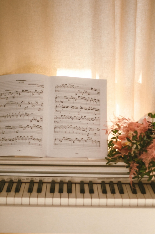 Piano, đàn piano, đàn, nhạc phổ, instrument, âm nhạc, music, giải trí, entertainment - Alina Vilchenko 1
