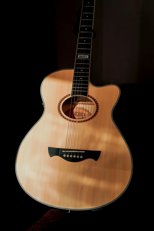 Guitar, đàn guitar, đàn ghi ta, nhạc cụ, instrument, âm nhạc, music, giải trí, entertainment - Caique Araujo