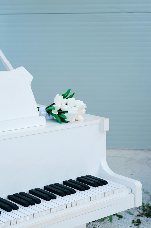 Piano, đàn piano, đàn, instrument, âm nhạc, music, giải trí, entertainment - Hatice