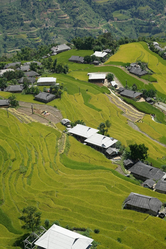 Ruộng bậc thang, Rice terraces, Hà Giang, Thiên nhiên, Làng bản, Village, Nature, wallpaper, background - Neo Khuat