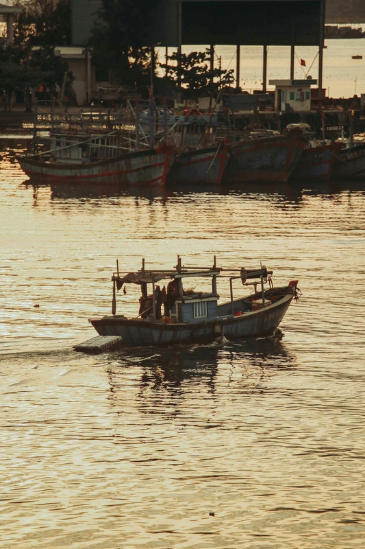 Thuyền đánh cá, fishing boat, Việt Nam, Vietnam, bình minh, sunrise, biển, sea - Vietnam Photographer