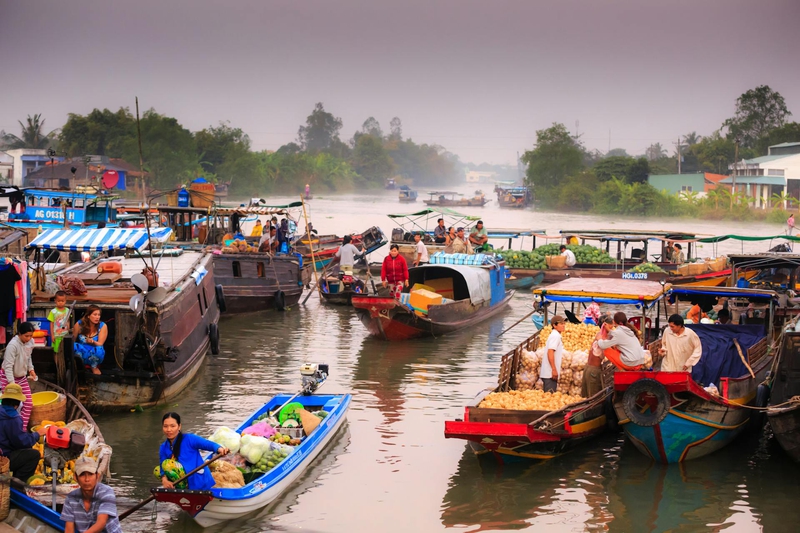 Thuyền, boat, sông, river, Việt Nam, Vietnam, người lái thuyền, boat operator, chợ nổi, floating market - Quang Nguyen Vinh