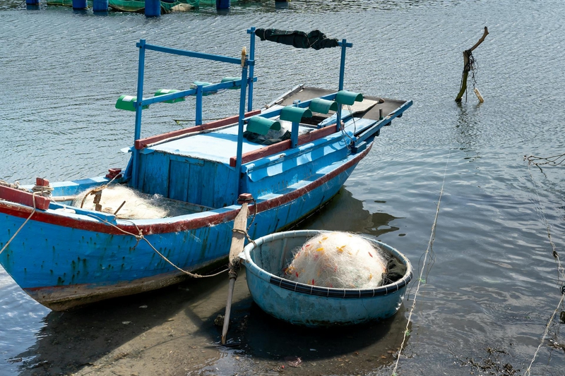 Thuyền đánh cá, fishing boat, thuyền thúng, basket boat, biển, sea, Việt Nam, Vietnam - Quang Nguyen Vinh