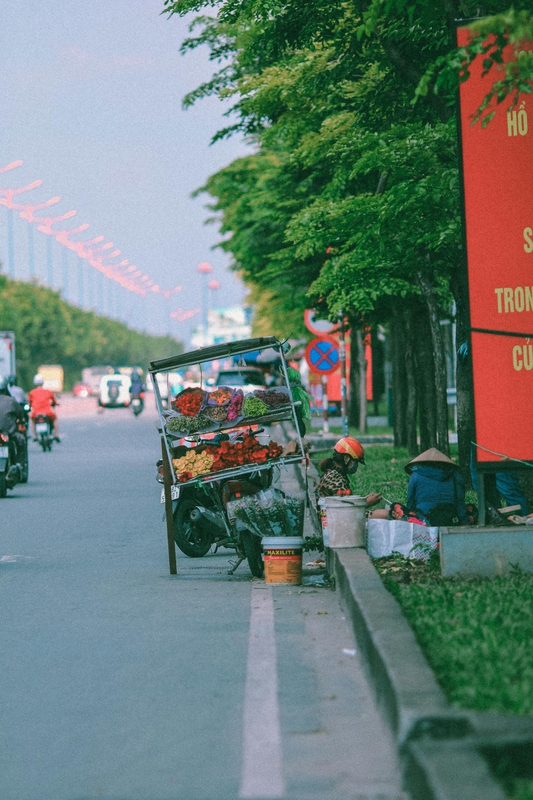 Xe đẩy hàng, vendor cart, xe máy, motorbikes, Vietnam, Việt Nam, người bán hàng rong, street vendor, trái cây, fruits - Thới Nam Cao