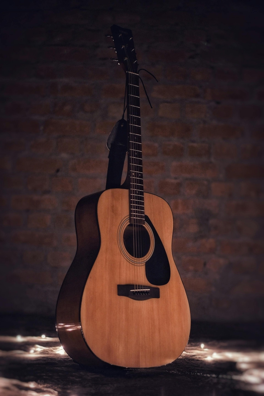 Guitar, đàn guitar, đàn ghi ta, nhạc cụ, instrument, âm nhạc, music, giải trí, entertainment - Pravesh Chaurasia