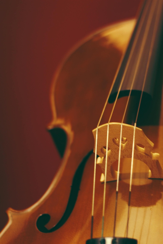 Guitar, đàn guitar, đàn ghi ta, nhạc cụ, instrument, âm nhạc, music, giải trí, entertainment - Tom Swinnen