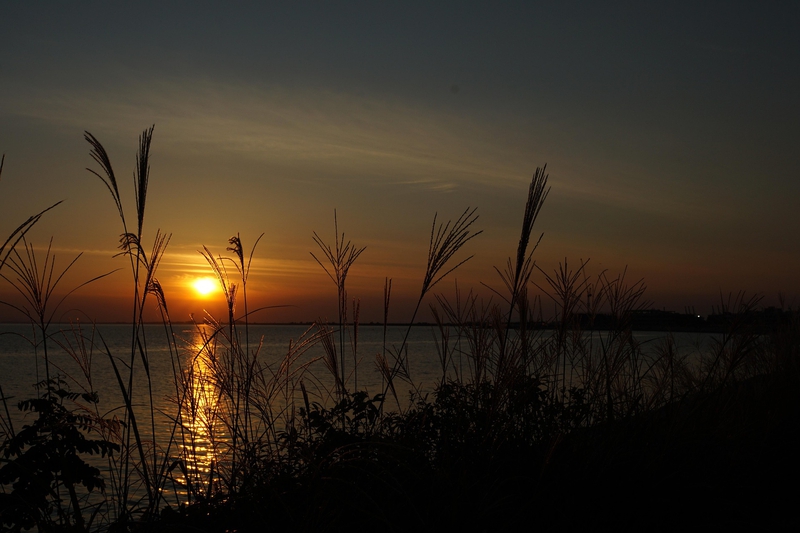 Hồ, sông, hoàng hôn, cỏ, lake, river, sunset, grass- mitto
