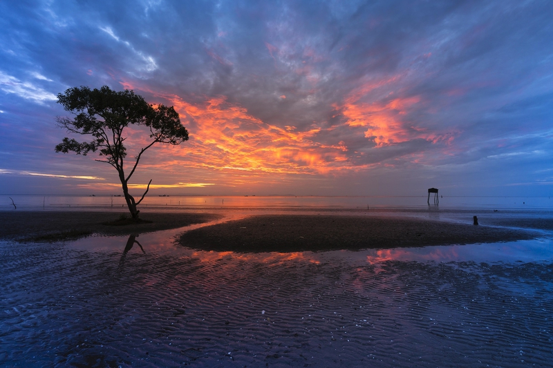Hồ nước, lake, hoàng hôn, sunset,cây, tree, bãi cát, sand - Quangpraha 1