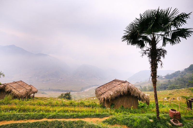 Nhà gỗ, wooden house, homestay, núi rừng, mountain- Quangpraha