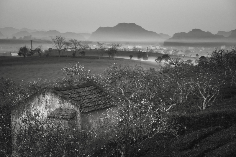 Ruộng bậc thang, sương mù, bình minh, hoàng hôn, hình nền, nền, background -Quangpraha 2