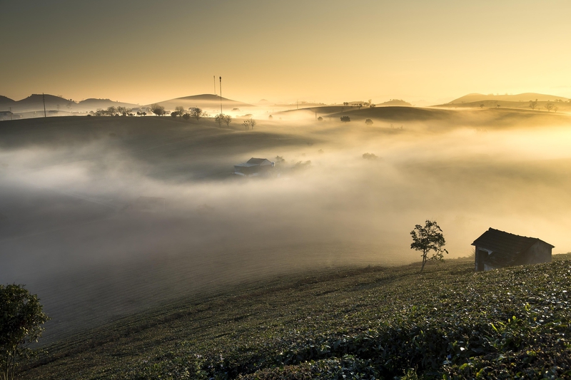 Ruộng bậc thang, sương mù, bình minh, hoàng hôn, hình nền, nền, background -Quangpraha 4