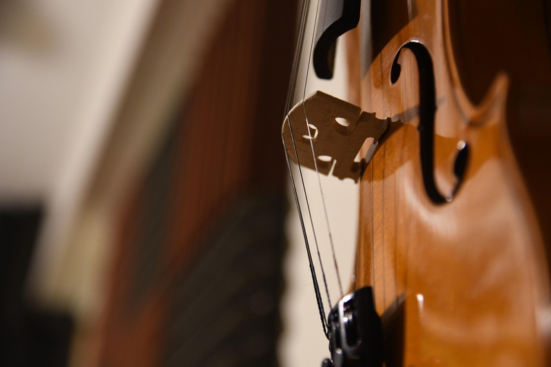 Violin, đàn vĩ cầm vĩ cầm, violin, vi ô lông, nhạc cụ, instrument, âm nhạc, music, giải trí, entertainment - MAGstd