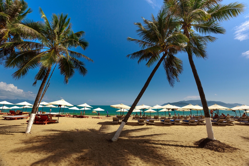 Bãi biển, beach, biển xanh, blue sea, cây dừa, coconut tree - Quangpraha 2