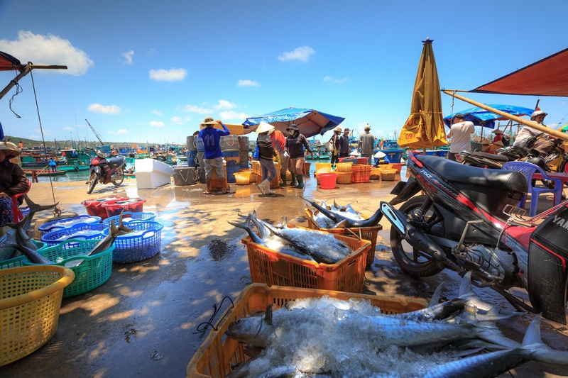 Cảng biển, fishing port, thuyền gỗ, wooden boats, tàu cá, fishing boats, Phú Quốc, Phu Quoc, chợ, market - Quangpraha