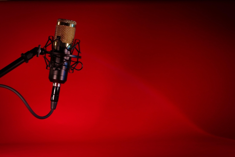 Micro, microphone, mic, thu âm, phòng thu, karaoke, giải trí, entertainment - Pic_Panther