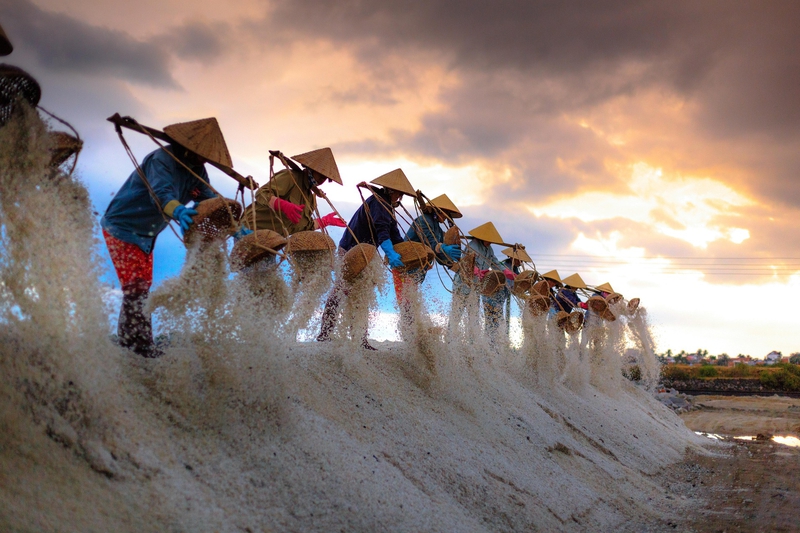 Muối, làm muối, người dân,Salt, salt making, people, hình nền, nền, background -Quangpraha