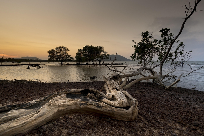 Hồ nước, lake, hoàng hôn, sunset,cây, tree, bãi cát, sand - Quangpraha