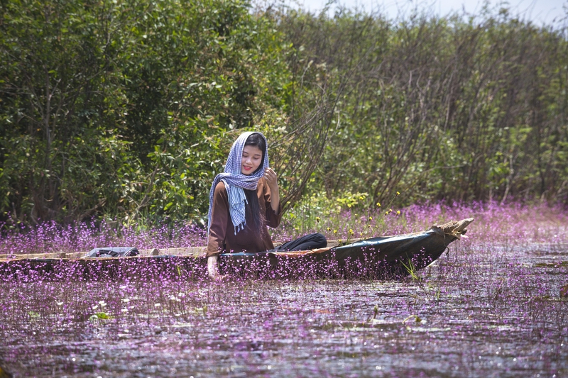 Cô gái, thuyền, girl, boat, hoa, flower,hình nền, nền, background -Quangpraha 2